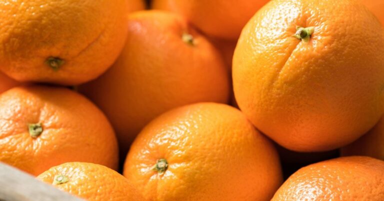 Does Orange Juice Have Calcium? Examining Its Mineral Content