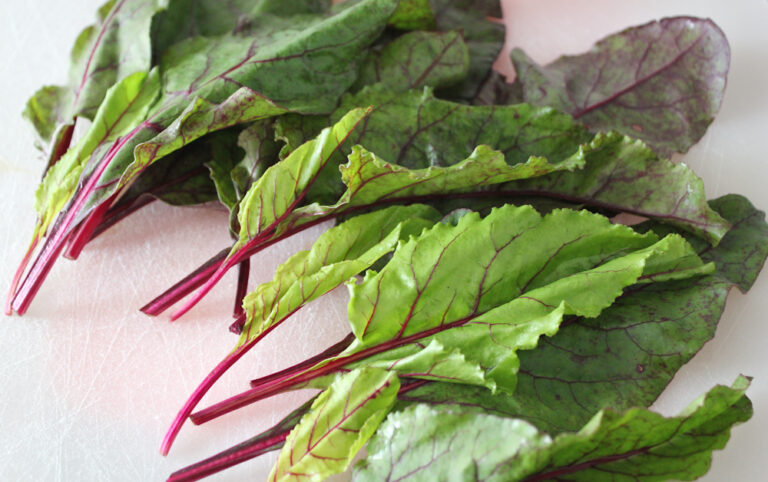 Can You Juice the Beet Leaves? Utilizing the Entire Vegetable